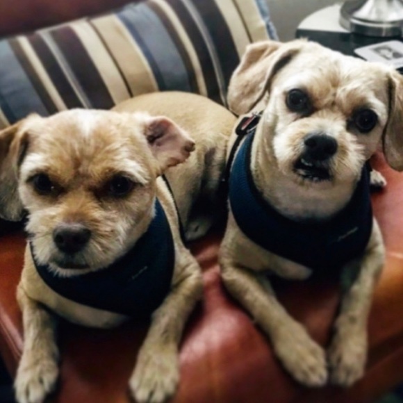 Meet your Posher. - Picture 3 of 5